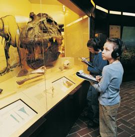 Fieldtrips dinosaur bonesDifferentiated Instruction